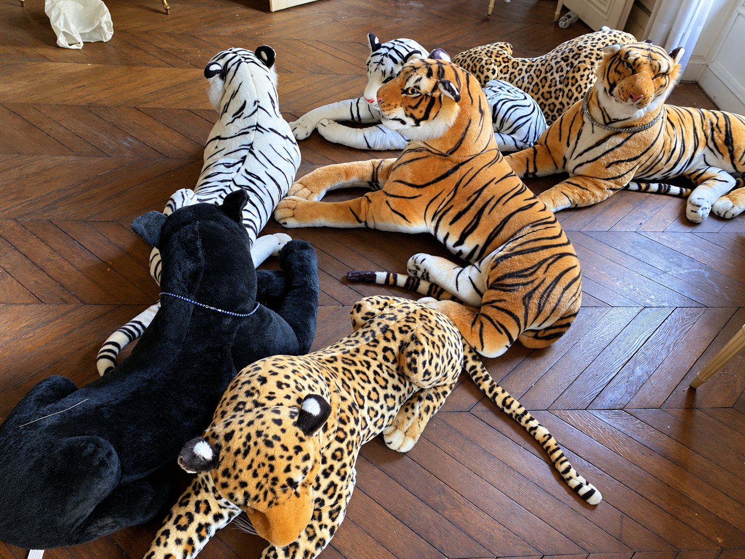 Plusieurs grandes peluches de tigres, léopards et panthère noire sont disposées sur un parquet ancien dans une pièce.
