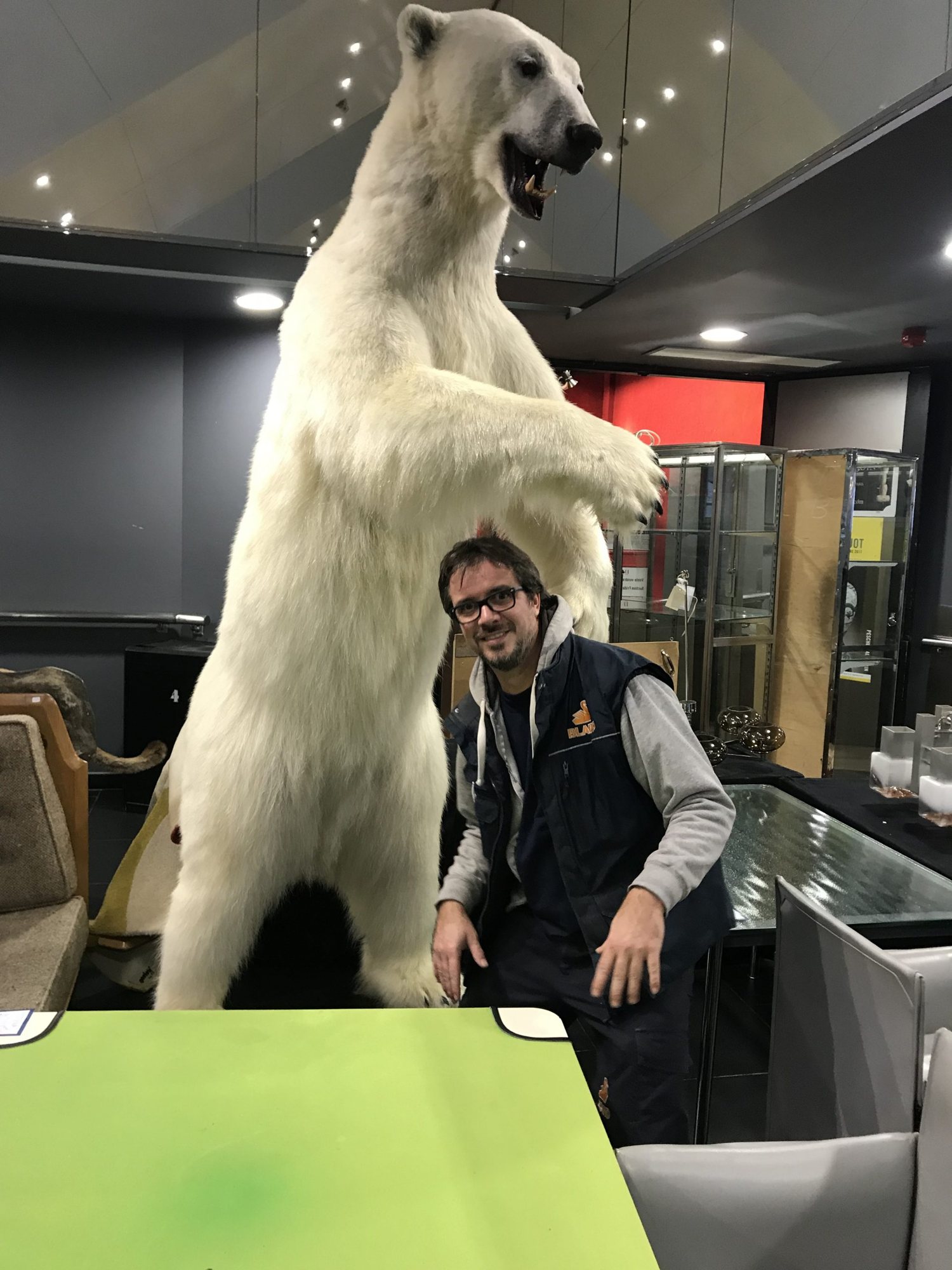 Un homme à lunettes en gilet sans manches pose accroupi devant un grand ours polaire naturalisé dressé sur ses pattes arrière, dans un espace d'exposition avec des vitrines et du mobilier.